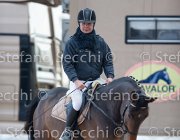 Indorami Tosc Tour2013- S5 1750 : Arezzo, Cavalli d'Italia, Indorami di Villa Giove, Toscana Tour 2013, foto di Stefano Secchi ©